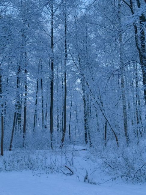 ПОСЛЕ СНЕГОПАДА ❄️
Наша Балашиха заиграла новыми красками!
Всех с Новым..