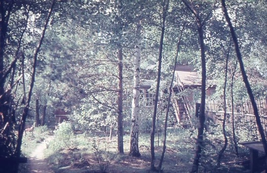 СТАРЫЕ ФОТО
Салтыковка 1967 год в цвете.
Салтыковка..