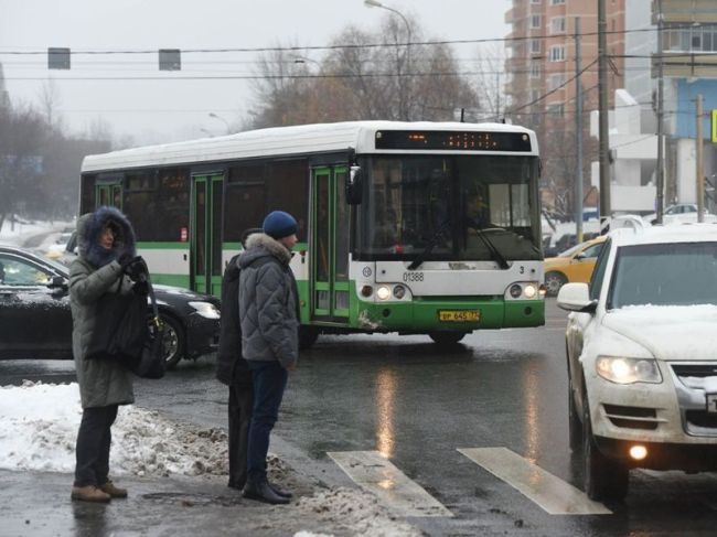 Полицейские в Пушкино настоятельно рекомендуют пешеходам быть внимательными на дорогах.  Фото: Медиасток.рф..