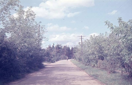 СТАРЫЕ ФОТО
Салтыковка 1967 год в цвете.
Салтыковка..