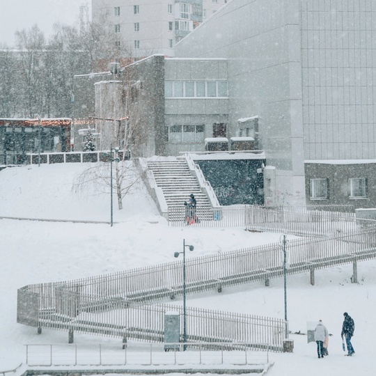 Зима у Искры🌨  Фото:..