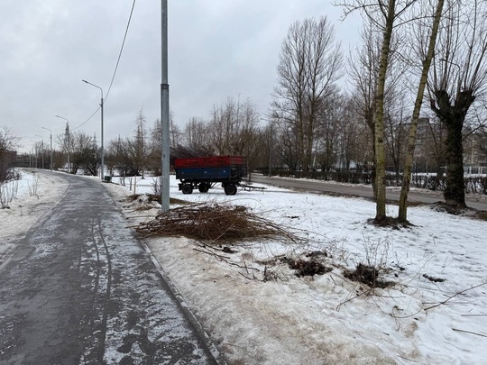 Сегодня на улице Набережная заметили, что рабочие начали обрезку кустов и деревьев. 
Казалось бы, январь —..