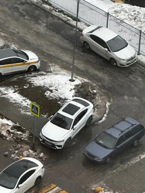 Очередной 🐽 в округе 
Вот как, например, в такой ситуации проходить с..