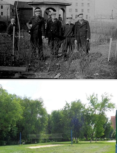 Лесоповал.
В 50-х годах прошлого века в нашем городе при школах были пришкольные участки. В 4-й школе на..