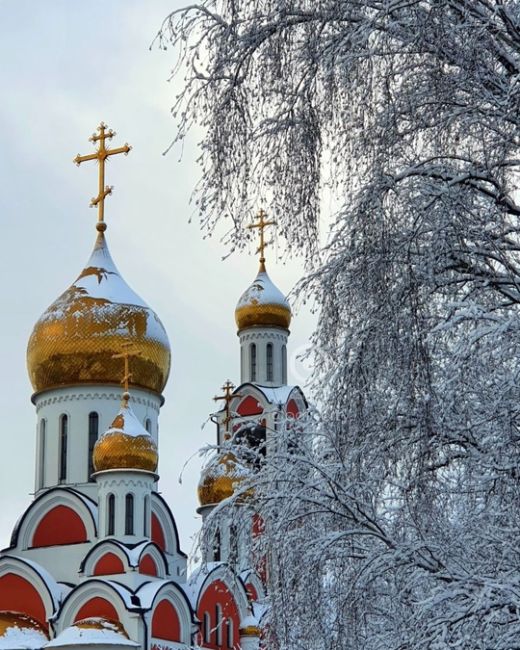 Потепление придет на Рождество в Одинцово  Оно окажется довольно затяжным, и только в середине января его..