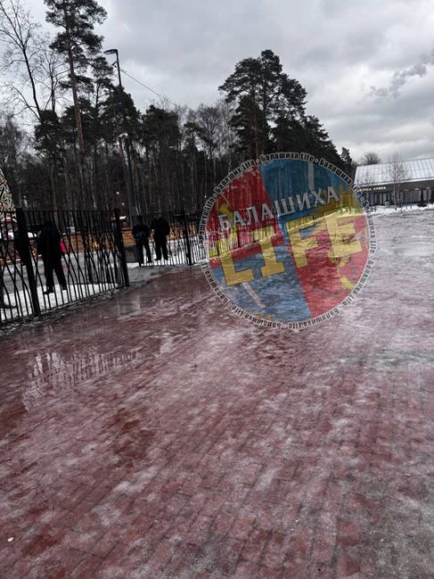 Вопрос к администрации города: вам не стыдно, что люди в новогодние праздники ходят по такому льду, лужам? Это..