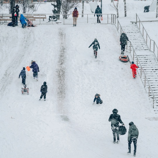 Зима у Искры🌨  Фото:..