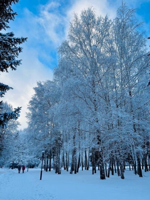 Зимняя сказка в Петрово-Дальнем❄️  📸 Скворцова..