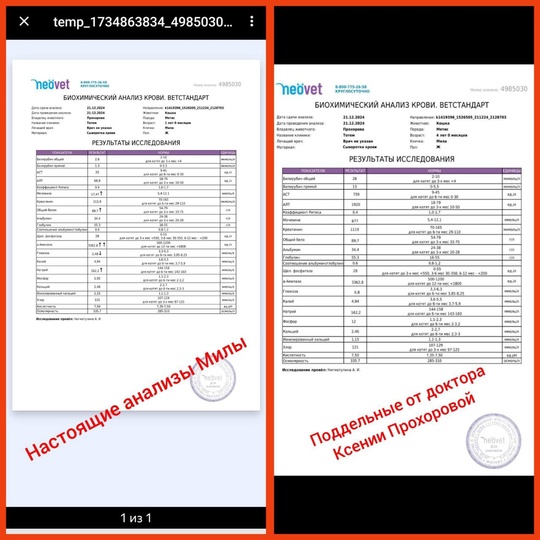 ИЩЕМ ПОСТРАДАВШИХ. ‼️
Никогда не ходите к Прохоровой К.А. в ветклинику Тотем.‼️ЧС.
По адресу: Красногорск,..