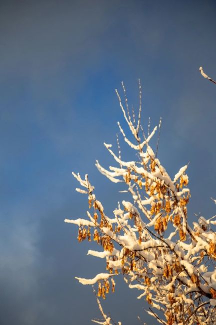 Солнечный денек 🌲🌨⛄
#видное..