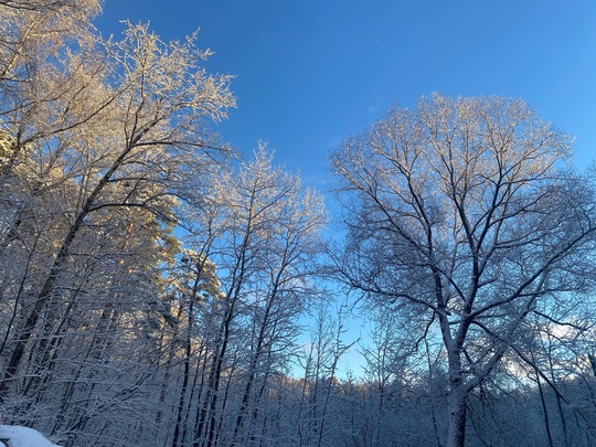 Зимняя сказка в Петрово-Дальнем❄️  📸 Скворцова..