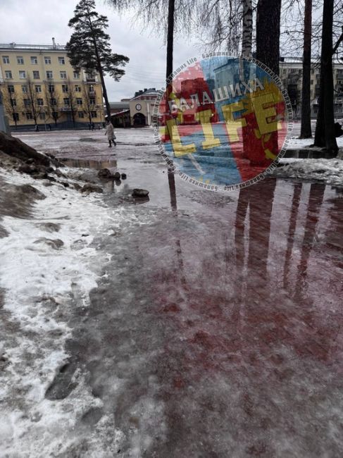 Вопрос к администрации города: вам не стыдно, что люди в новогодние праздники ходят по такому льду, лужам? Это..