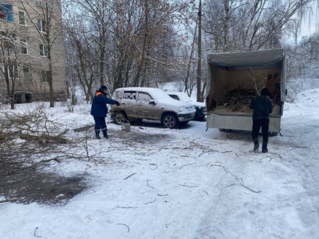 В Красноармейске убрали дерево, которое упало во дворе на улице Морозова.  Фото: администрация городского..