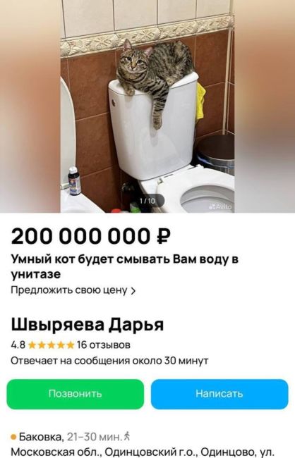 😸В Одинцово предлагают приобрести кота, который будет стоить 200 миллионов рублей. Этот кот умеет нажимать..