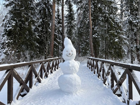 Откуда взялись снеговики? ☃ 
Каждый из нас лепил их в детстве ради развлечения, но раньше снежные фигуры..