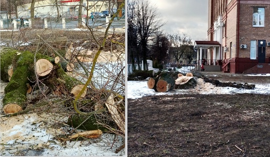 Лесоповал.
В 50-х годах прошлого века в нашем городе при школах были пришкольные участки. В 4-й школе на..