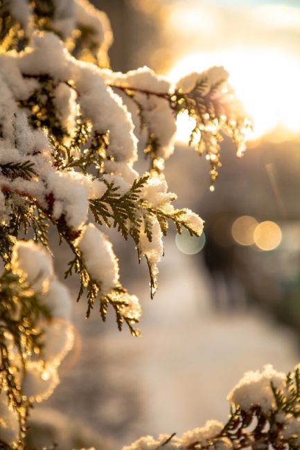 Солнечный денек 🌲🌨⛄
#видное..