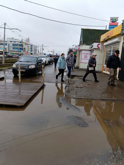 🌱 Мартовские пейзажи в январе могут наблюдать коломенцы  Из-за аномального тепла и дождей снежный покров в..