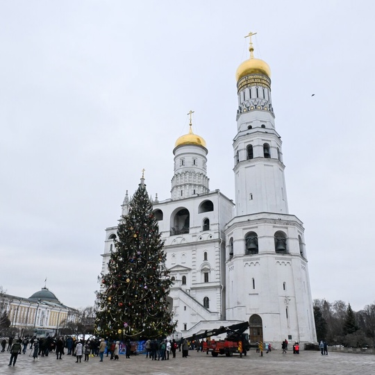 Что сделают с главной новогодней ёлкой страны? 
Главная ель России не искусственная, как большинство в..