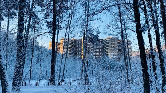 Зимняя сказка в Петрово-Дальнем❄️  📸 Скворцова..