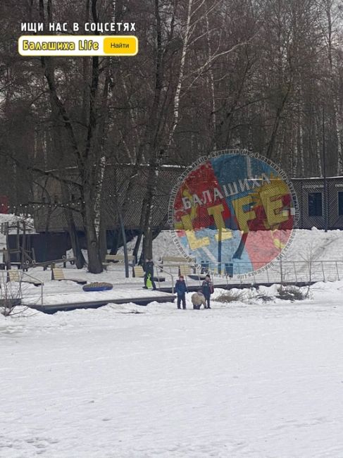 Дорогие родители! 
Если вы узнаете своих детей или даже если здесь нет никого из ваших, пожалуйста,..