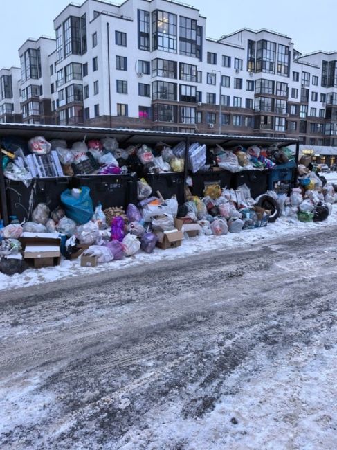 ЖК Императорские Мытищи ждут вывоз мусора. Почему в таком состоянии мусорные..