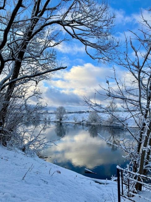 Зимняя сказка в Петрово-Дальнем❄️  📸 Скворцова..