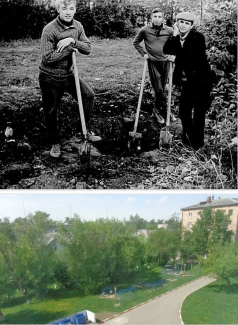 Лесоповал.
В 50-х годах прошлого века в нашем городе при школах были пришкольные участки. В 4-й школе на..