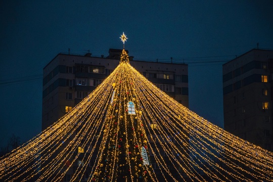 Ну что-же, Новый Год настал🎄  Фото:..