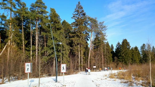 Прогулка по Ольгинскому лесопарку зимним погожим деньком.
📸 [id707425183|Анатолий..