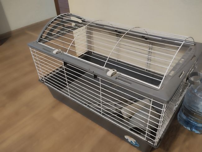 Доброго времени суток. Жуковский.
Отдам/продам клетку б/у . Покупали как для кролика, но в ней жили две морские..