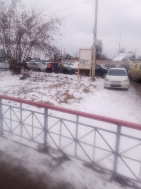 Потеряшка. Собака. Охотничья. Только что. Платформа Водники. Со стороны яхтклуба. Извините фото очень плохое...