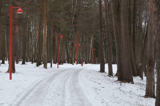 У ВИШНЯКОВСКОГО ПРУДА БУДЕТ "ПАРК В ЛЕСУ"🌳
В Балашихе продолжается масштабная работа по благоустройству..