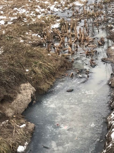 💦 На улице Ново-Никольская, 50 идёт канализационная, тухлая вода прямо в канаву вдоль Волоколамского..