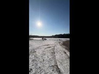 В Электростали какие-то смельчаки во всю дрифтят на замерзшем льду озера  Слабоумие или..