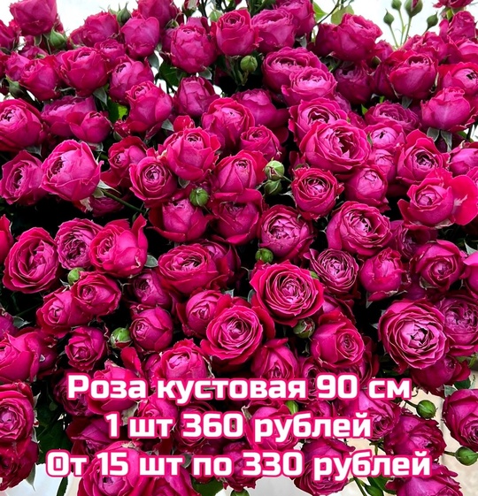 ЦВЕТОЧНЫЙ СКЛАД ФЕНИКС 
ГАРАНТИЯ КАЧЕСТВА ЦВЕТКА 4 ДНЯ 💐только свежие цветы и отличное качество. 
‼Мы..