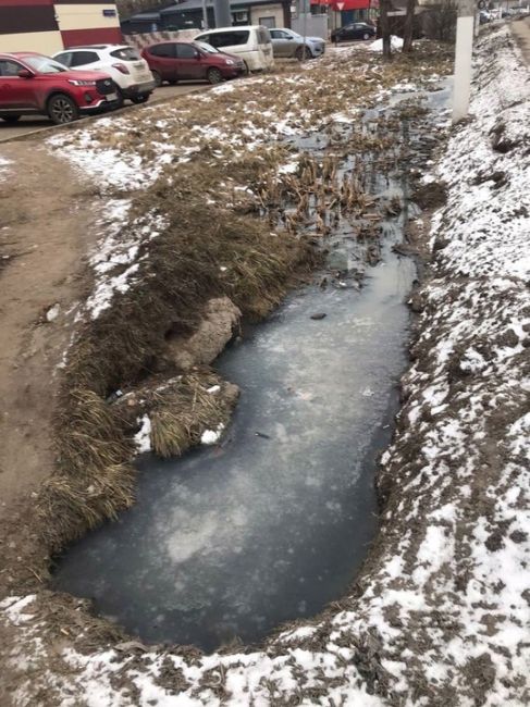 💦 На улице Ново-Никольская, 50 идёт канализационная, тухлая вода прямо в канаву вдоль Волоколамского..