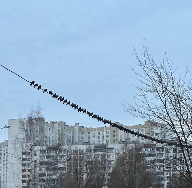 😅 Украшение в виде гирлянды в четырнадцатом микрорайоне, как обычно, на..