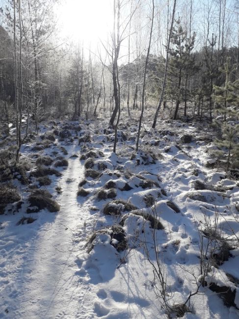 ❄Морозное утро на южном Губайловском болоте☀️24 февраля 2025
=============
-14 С❄
Фото: В.Ермолов📸  Как болото..