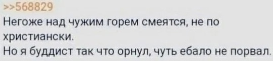 В Дмитрове Мухаммадназар сбил на пешеходном переходе инвалида-колясочника  Мужчина пересекал улицу..