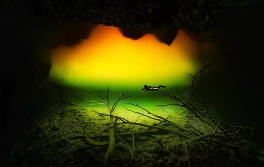 Фото призеров конкурса подводной съёмки The Underwater Photographer of the Year 2025. 
Главным победителем был назван Альваро..