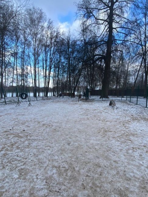 В Центральном парке сделали хорошую площадку для собак, а в парке «Мысово» что? Уже больше чем полгода..