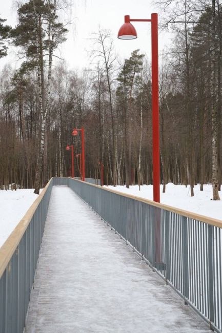 У ВИШНЯКОВСКОГО ПРУДА БУДЕТ "ПАРК В ЛЕСУ"🌳
В Балашихе продолжается масштабная работа по благоустройству..