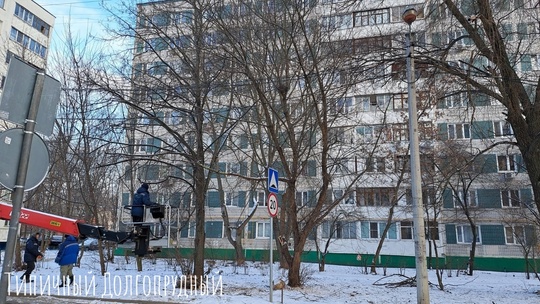 МБУ "Благоустройство" 20.02.2025г.  ОБрезка деревьев на улице Молодежной..