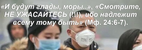 В Москве фиксируют вспышку ОРВИ с температурой под 40, с сильным кашлем до рвоты и насморком  По данным..