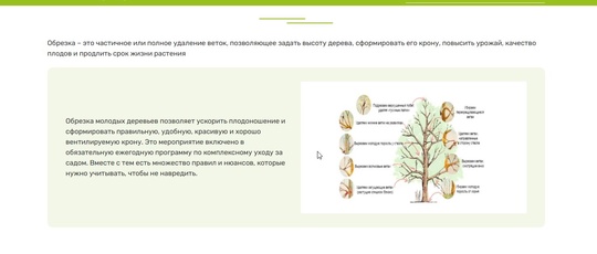 МБУ "Благоустройство" 20.02.2025г.  ОБрезка деревьев на улице Молодежной..