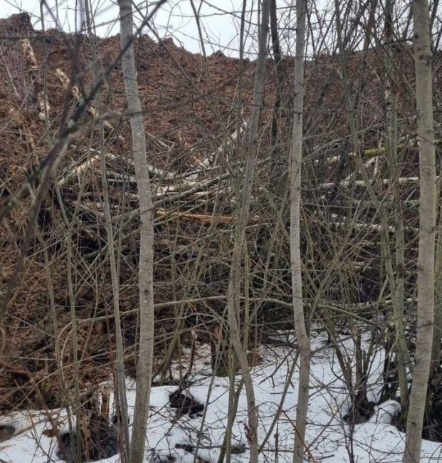 Началась стройка нового торгового центра. Во дворе дома на Новом бульваре, 3. Мало, видимо, их в нашем городе...