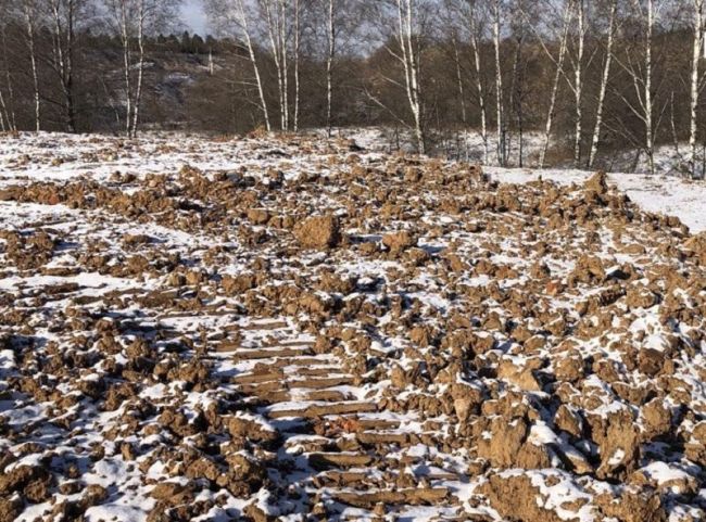 💥 Организатору нелегальной свалки в районе деревни Вешняки придется возместить ущерб на сумму более..