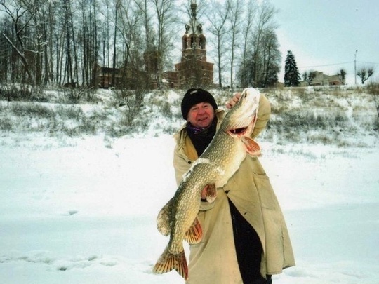 Однажды в Раменском
Вот такая щука была поймана в декабре 2011 года в центре города Раменское на..