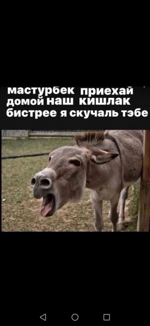 Паспорт потерял
Салом алейкум паспортни йокотиб койдим топган га мукофот  #Раменское..